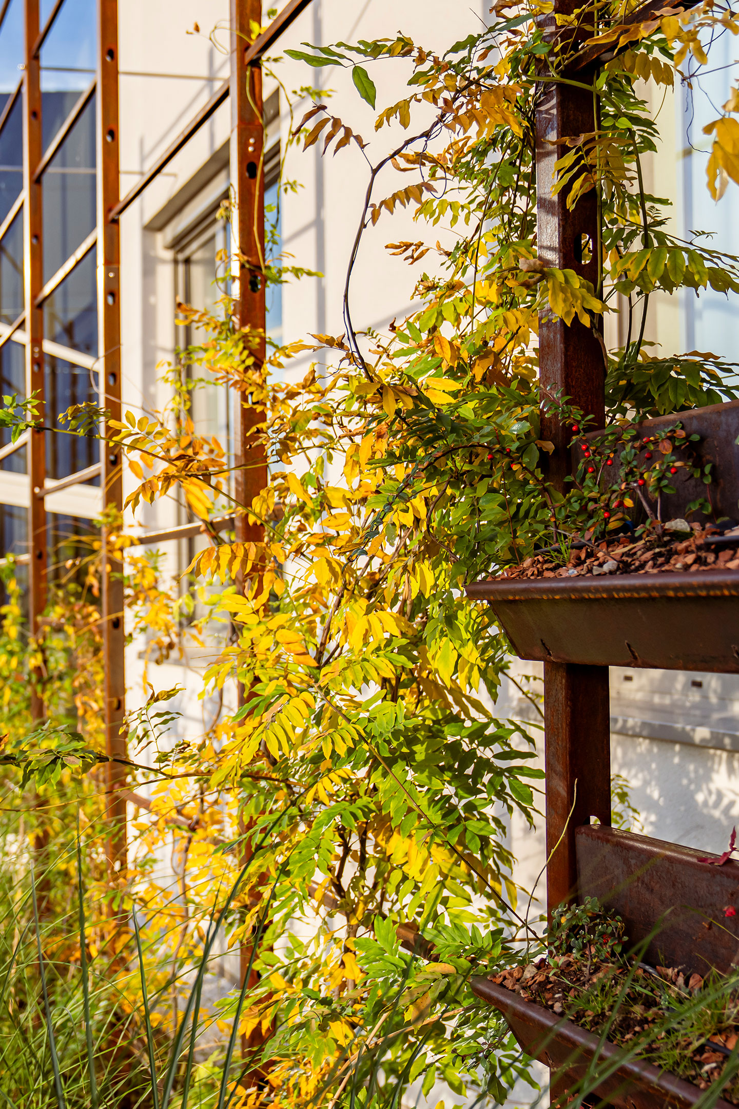 reki WALL 04
